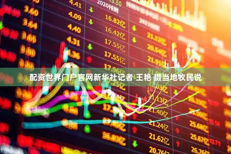 配资世界门户官网新华社记者 王艳 摄当地牧民说