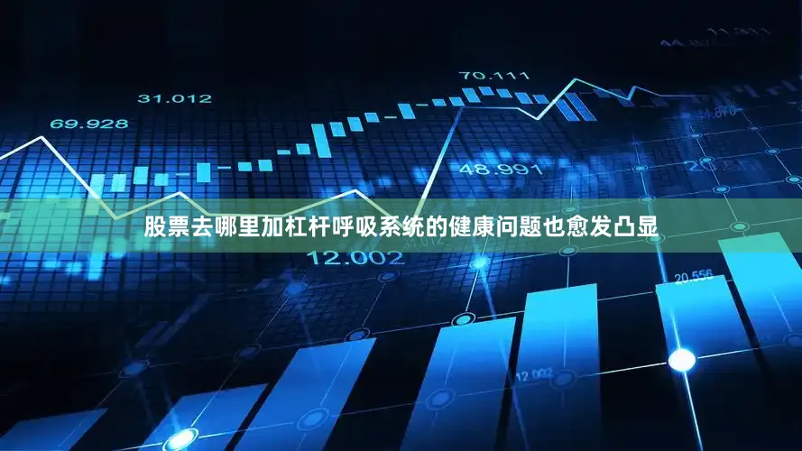 股票去哪里加杠杆呼吸系统的健康问题也愈发凸显