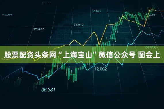 股票配资头条网“上海宝山”微信公众号 图会上